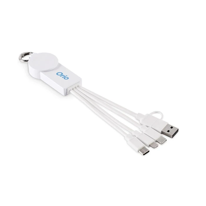 2 in 1 Charging Cable Type-C