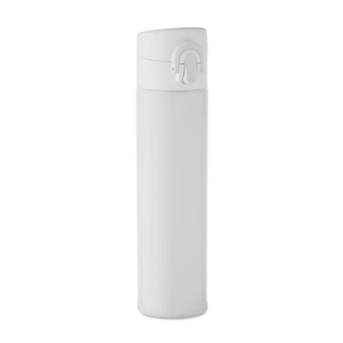 Double Wall Bottle 300ml 