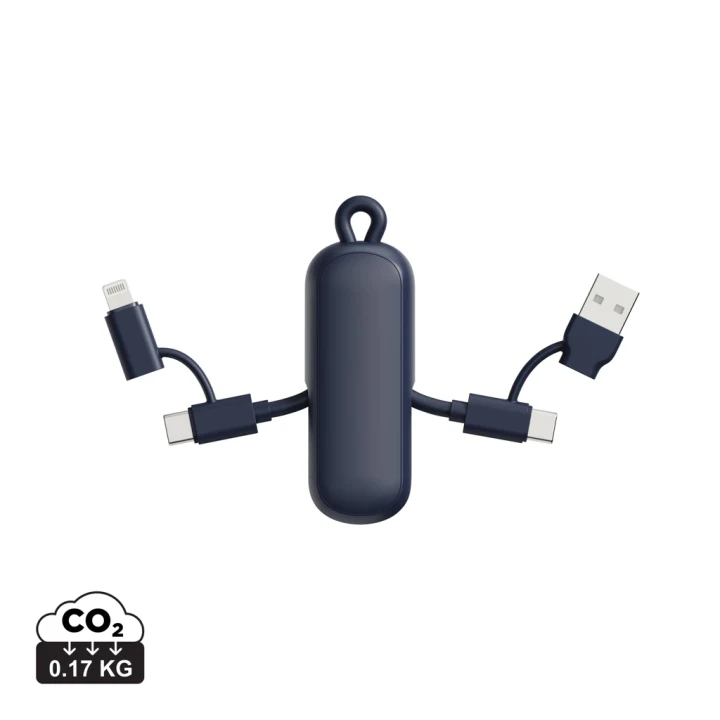 Urban Vitamin Dublin 100W 4 -in-1 keychain cable