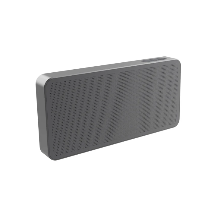 Aeris RCS Ultra-Thin 10W IPX5 Speaker with Removable Battery