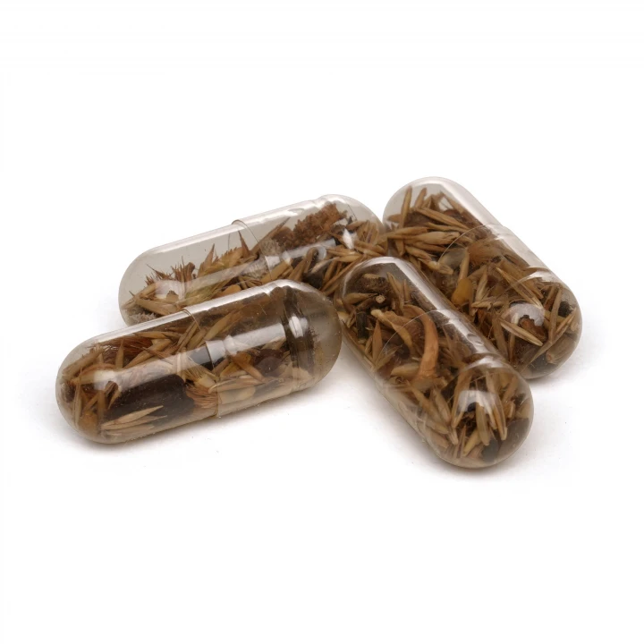 Seed Pills Match Box