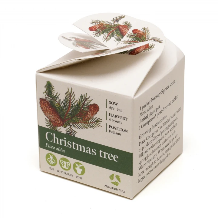 Mini Box Seed Kit