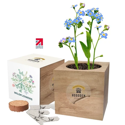 Desktop Cube Gardens