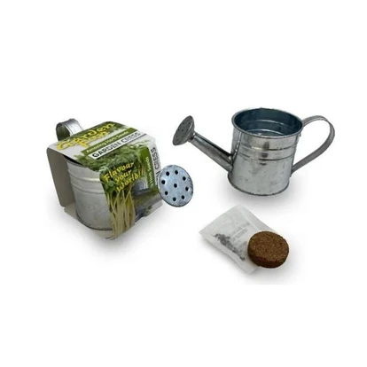 Zinc Watering Can