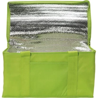 Rainham 12 Can Cooler Bag.