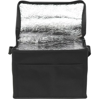 Rainham 6 Can Cooler