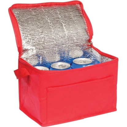 Rainham 6 Can Cooler