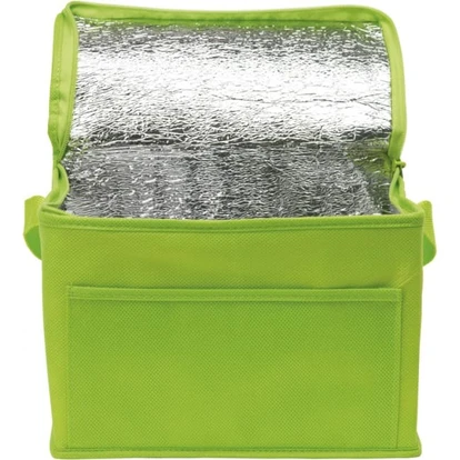 Rainham 6 Can Cooler