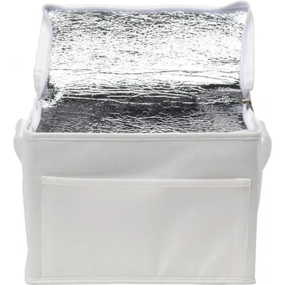 Rainham 6 Can Cooler
