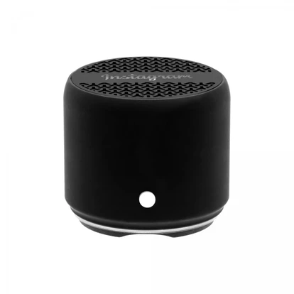 Levo Wireless Speaker