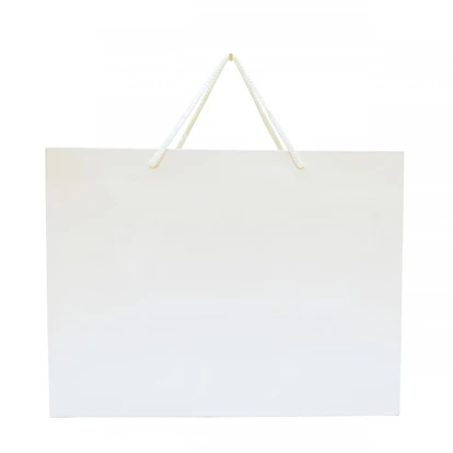 Walton Large Gloss Laminated Paper Carrier Bag