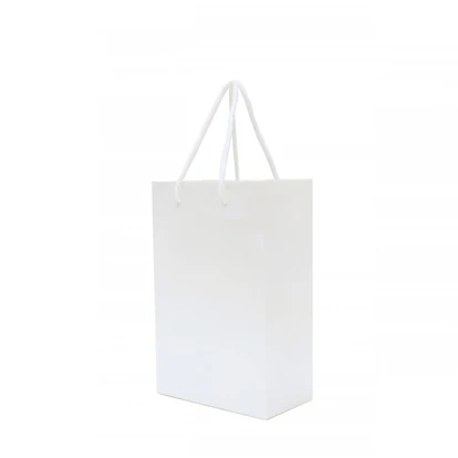 Walton A5 Gloss Laminated Paper Carrier Bag