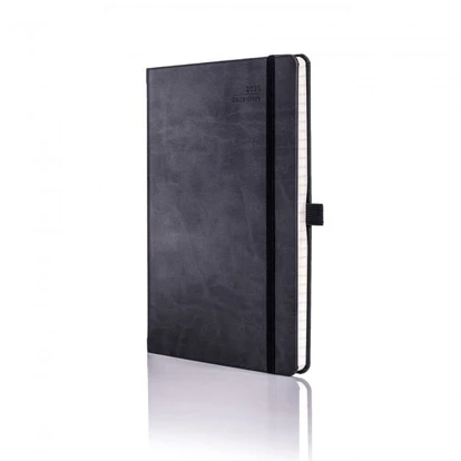 Ivory Medium Daily International Diary Tucson