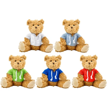 Monty Plush Teddy Bear with Hoodie