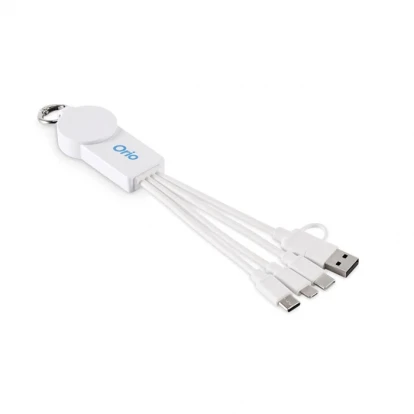 2 in 1 Charging Cable Type-C