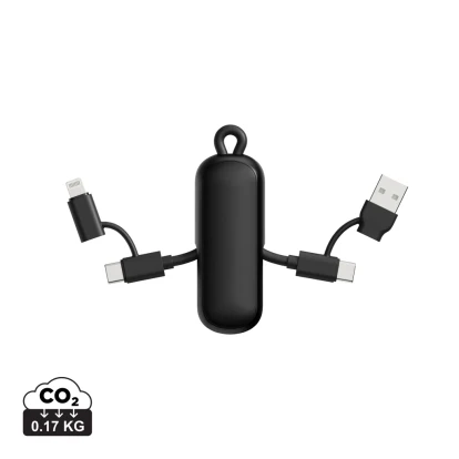 Urban Vitamin Dublin 100W 4 -in-1 keychain cable